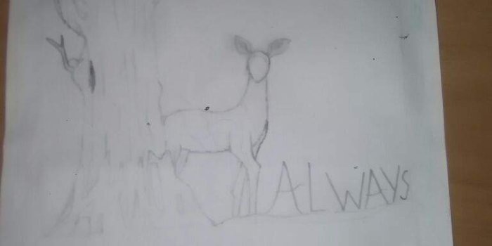 768x1024 I drawd lilys and snapes patronus and a hippogriff and a thestral