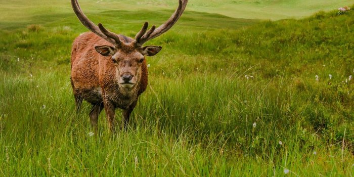 1920x1080 Howstuffworks