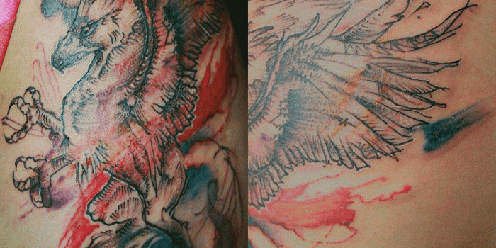 960x960 Hippogriff Tattoo (82+ images in Collection) Page 3