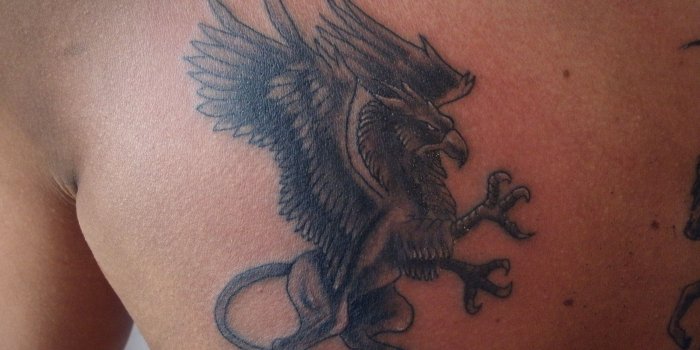 3648x2736 Hippogriff Tattoo (92+ images in Collection) Page 1