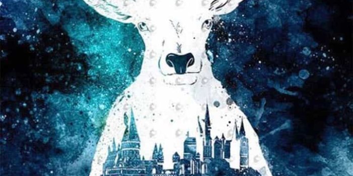 720x1280 If I went to Hogwarts on We Heart It