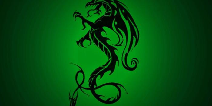 1920x1200 Celtic Dragon iPhone Wallpapers - Top Free Celtic Dragon iPhone