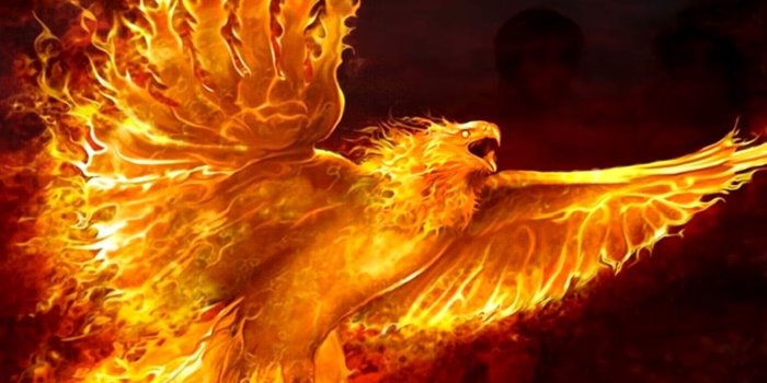 1920x1080 Howstuffworks