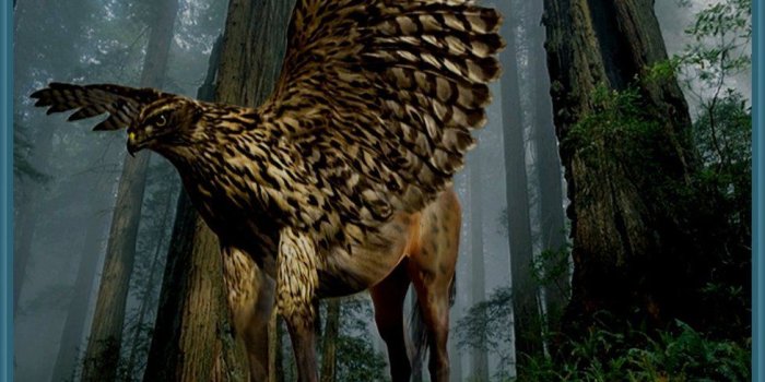 977x817 Hippogriff Origin – Quotes of the Day