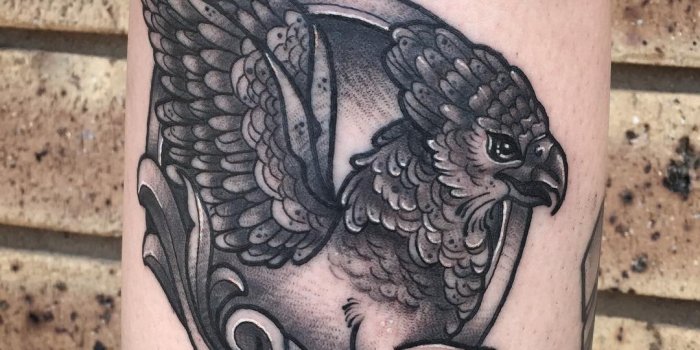 1080x1080 Hippogriff Tattoo (82+ images in Collection) Page 3