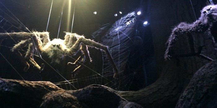 1024x768 Everything You Must See on the Harry Potter Studio Tour - Teaspoon