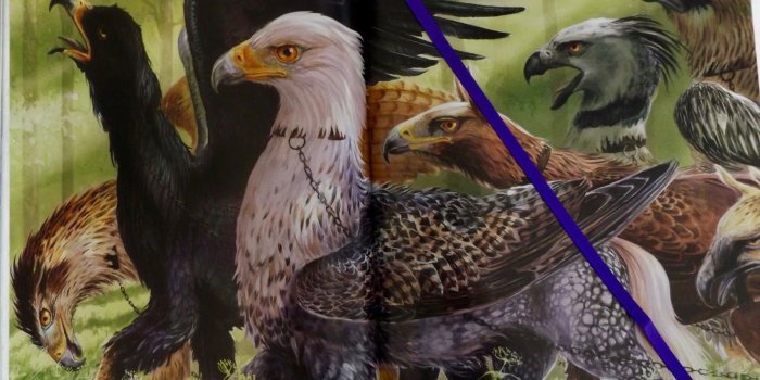 1600x1200 What's Wrong With Bread?!: Harry Potter and the Prisoner of Azkaban