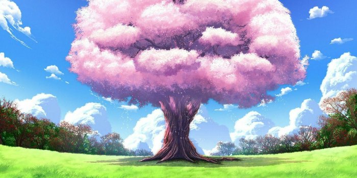 1920x1080 Cherry Blossom Tree | Art/Drawing | Anime, Tree landscape wallpaper