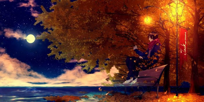 1244x700 Tamagosho anime tree moon beauty wallpaper | 1920x1080 | 683502