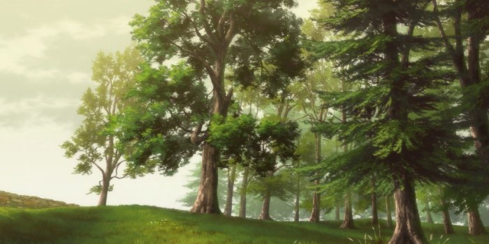 1920x1080 Tree and grass covered field illustration, anime, trees, nature HD