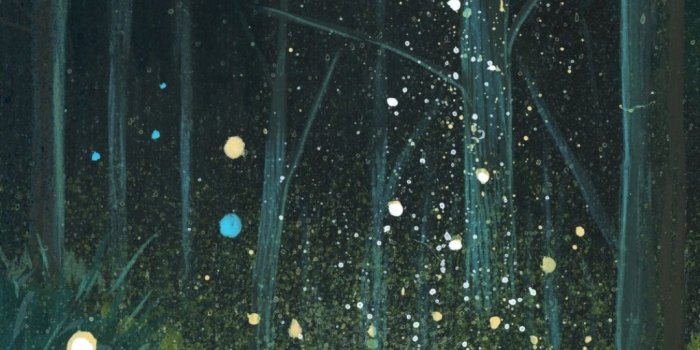 1080x1920 Wallpaper - Anime Forest Wallpaper Iphone (#695123) - HD Wallpaper