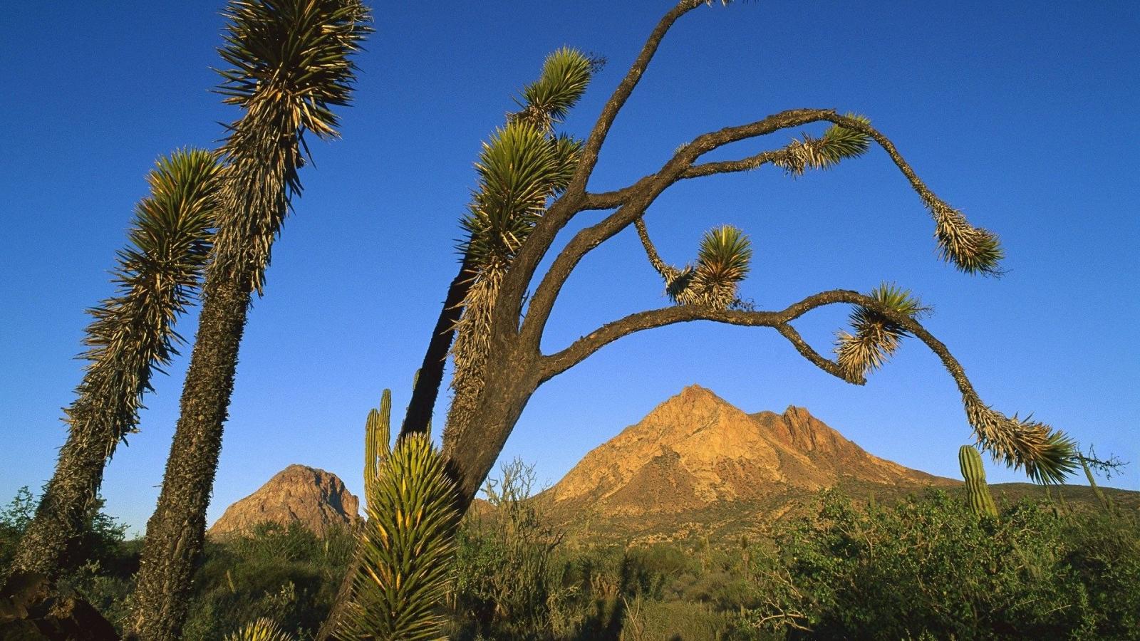 1920x1080 Mountains, Rivers Peace, Santa, Wallpaper, Samsung, California