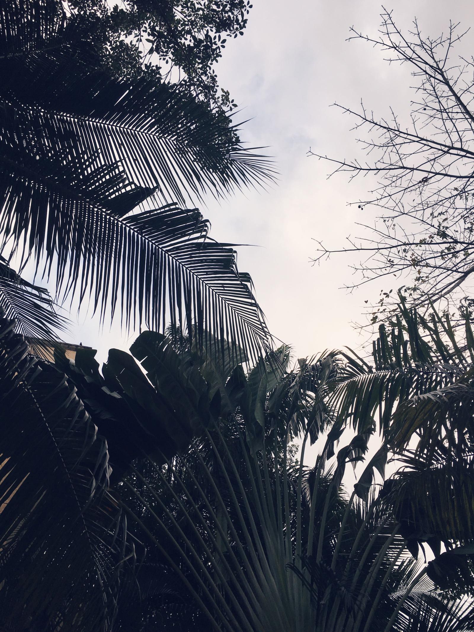 3024x4032 Mexico scenery//iPhone wallpaper | Bedrooms | Iphone wallpaper