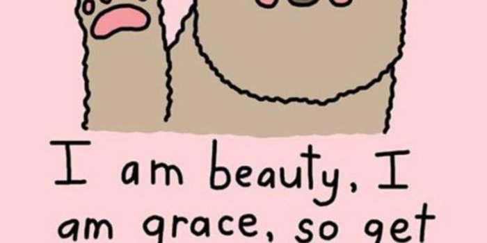 736x1309 Sassy Wallpapers