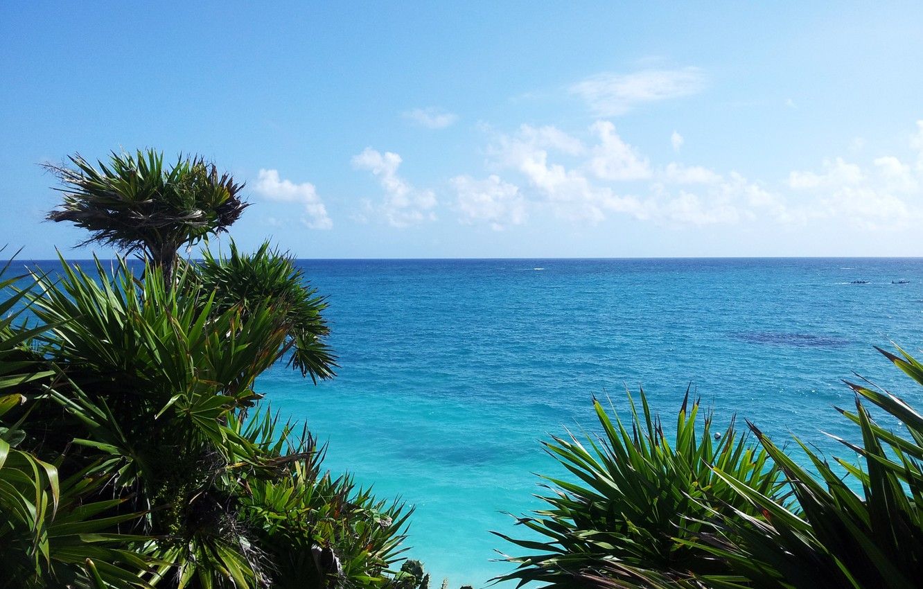 1332x850 Wallpaper sea, beach, tropics, palm trees, stay, beauty, beach, sky