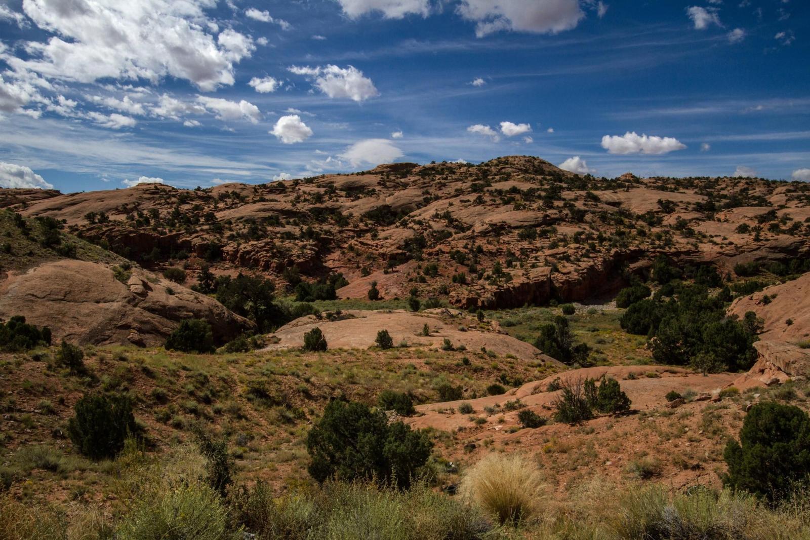 2592x1728 random spot driving through new mexico [OC][2592x1728] landscape