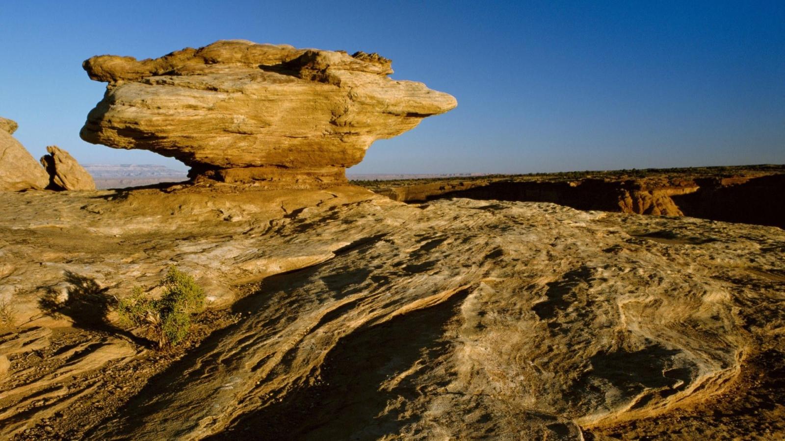 1920x1080 Flower Backgrounds, Amazing, Viewcanyon, Mexico, River Backgrounds