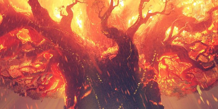 1242x2208 iPhone6papers.com | iPhone 6 wallpaper | vy39-tree-anime-hero