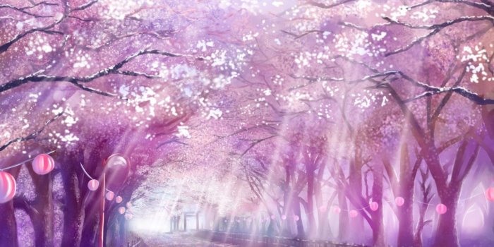 1500x1054 Sakura Tree Wallpapers High Resolution - Anime Cherry Blossom Tree