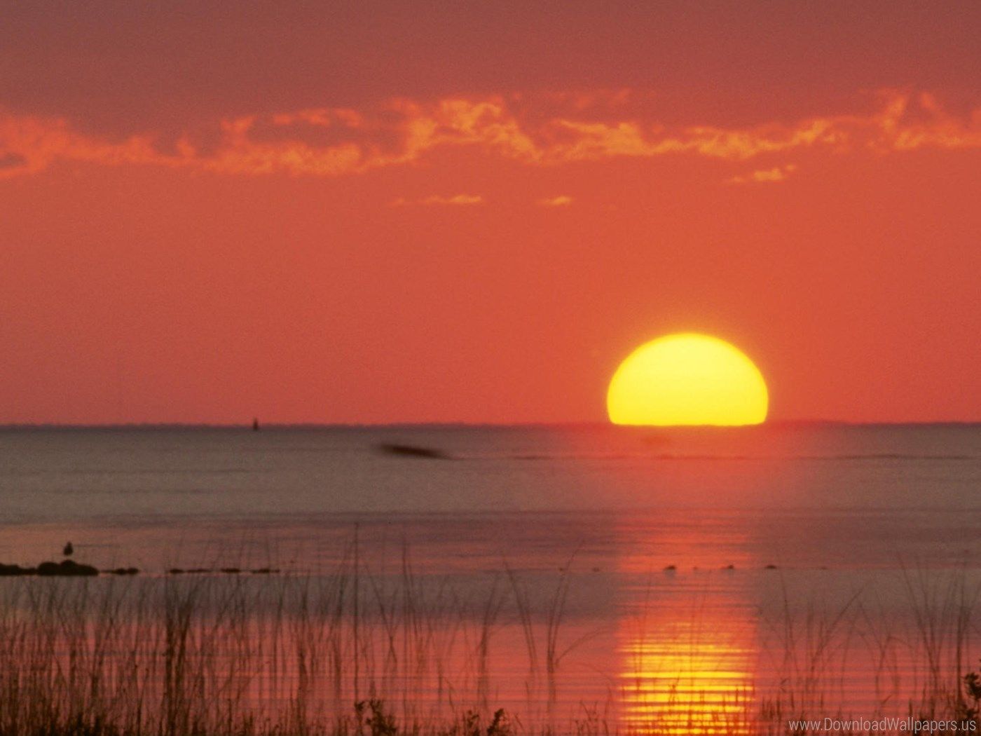 1400x1050 Download Standart 4:3 1400x1050 - Florida, Golden, Landscape, Mexico