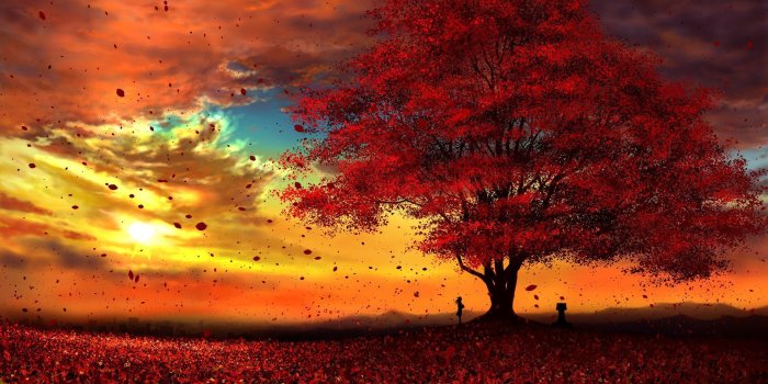 1920x1080 Anime Original Tree Fall Leaf Sun Peace Cloud Wallpaper | Anime
