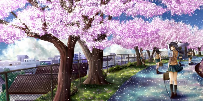 1600x1000 Anime Sakura Trees Wallpaper 51330 1600x1000px