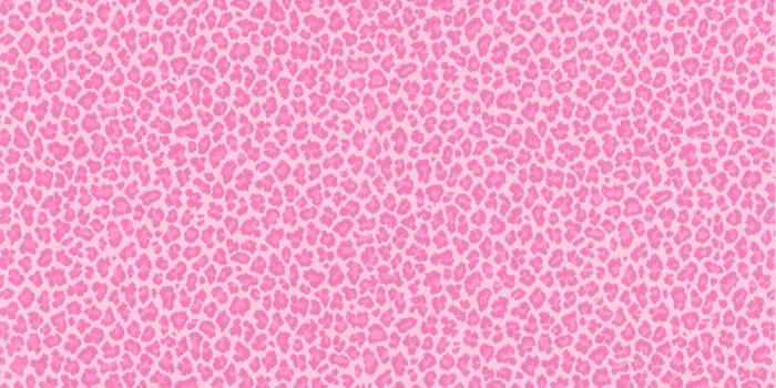 1800x1800 Brewster Home Fashions Kids World Sassy Cheetah 33' L x 20.5