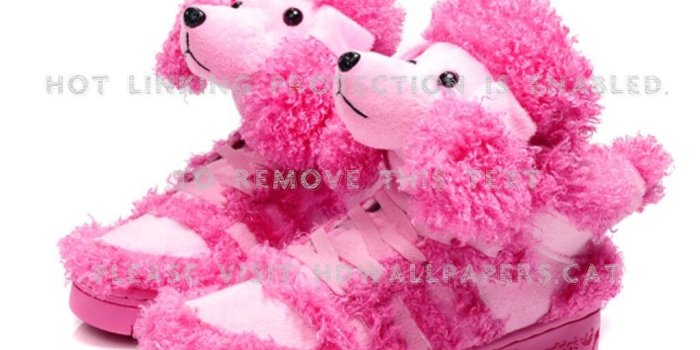 1024x768 pink poodle shoes adidas funny originals