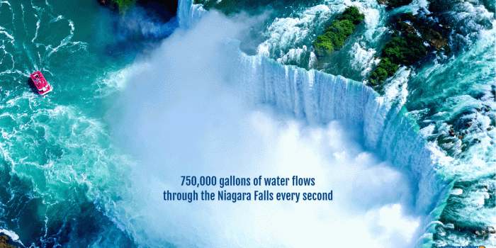 1920x1080 Did You Know? Nature HD Wallpaper New Tab Theme - Did You Know?