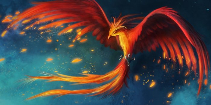 2560x1600 Fuego,free Wallpaper,ave, Desktop Wallpapers, Fenix Fantasia