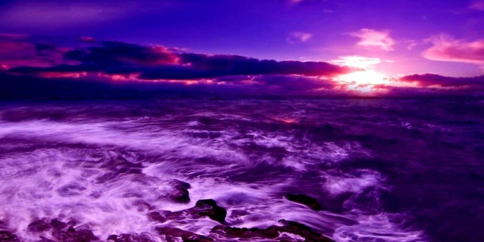 1600x1022 Screensavers For Laptops | Safari Wallpapers