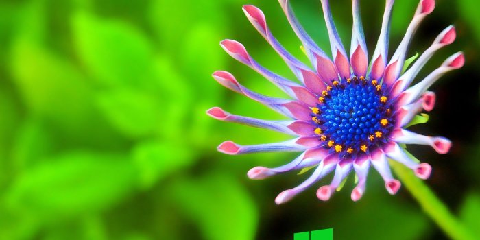 3260x2331 Laptop Wallpapers HD For Windows 10 Photo Download HD Background