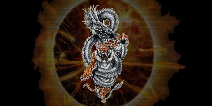 1024x768 Tiger and Dragon Wallpaper | Tiger Dragon | Tattoos | Dragon tattoo