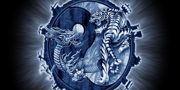 1200x1024 Yin Yang Dragon Tiger Wallpapers