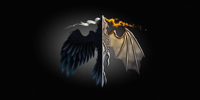 2560x1440 Raven and dragon wall paper HD wallpaper | Wallpaper Flare