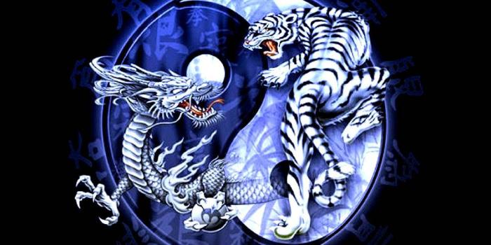 951x855 Tiger And Dragon Wallpaper by Loveless1982 - d9 - Free on ZEDGE™