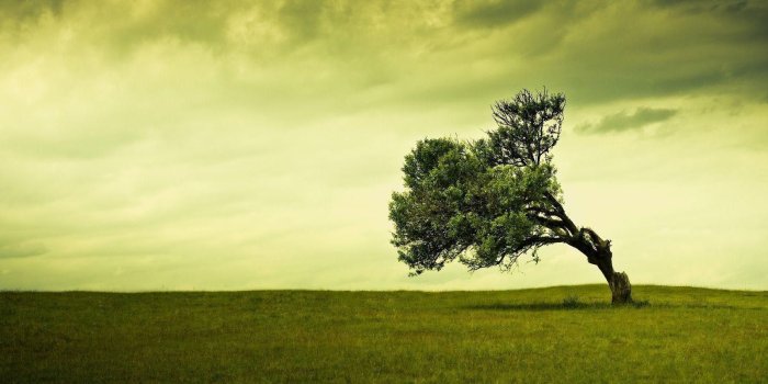 1600x900 Amazing Wallpapers For Laptop - Fantasy - AMAZING WALLPAPER HD