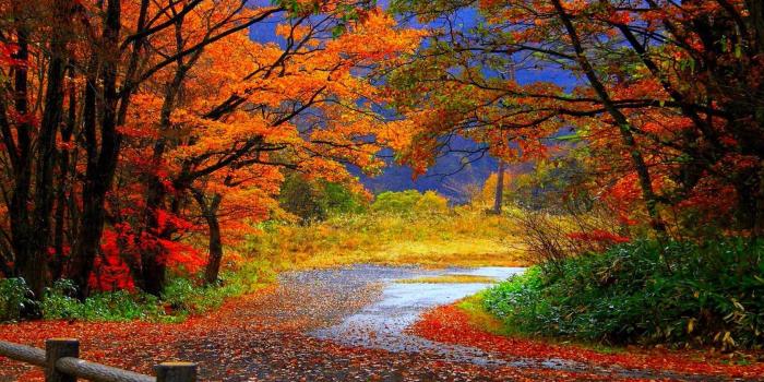 1680x1050 autumn fall scenery wallpaper | Nature Desktop Wallpapers | Fall