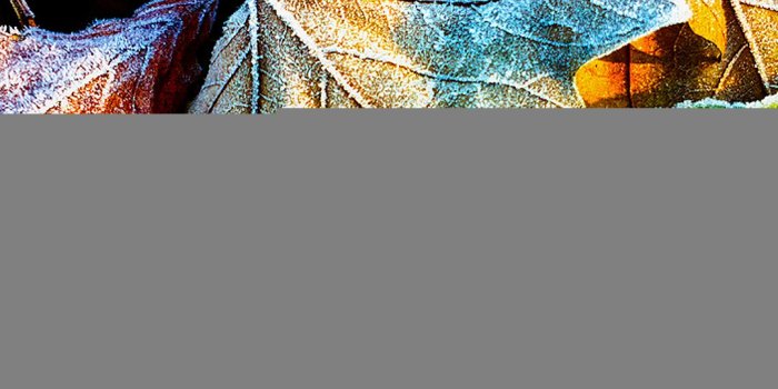 1080x1920 Nokia Lumia 1520 Wallpaper Full Hd - Hd Wallpapers For Nokia 6