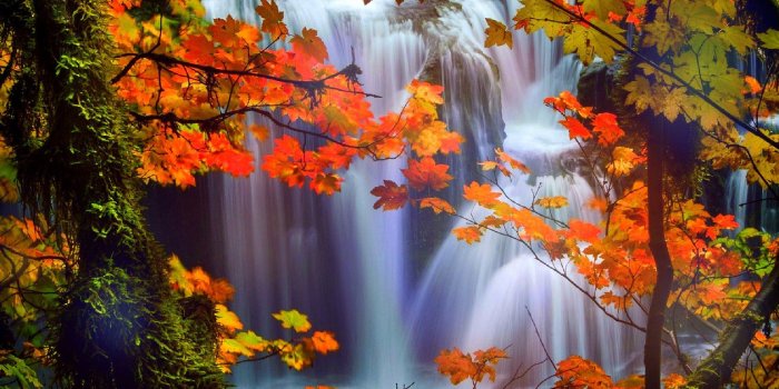 2560x1600 35+ Beautiful Fall Scenic Wallpapers - Download at WallpaperBro