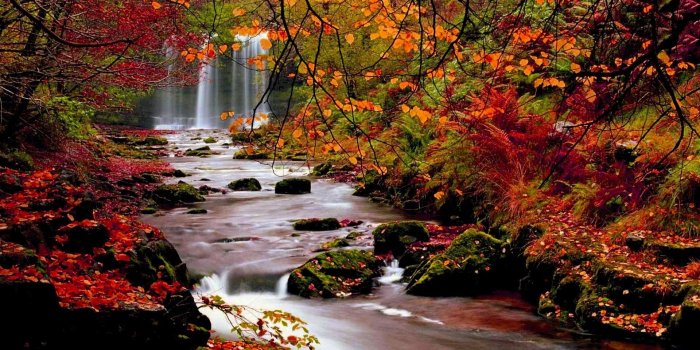 1920x1080 Fall Scenery Wallpaper for Computer (48+ images)