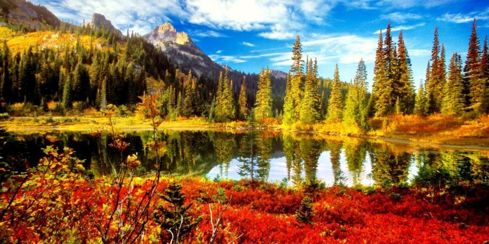 1920x1080 40+ Scenic Autumn Desktop Wallpapers - Download at WallpaperBro