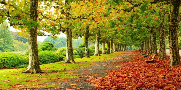 3840x2160 Autumn Scenery Wallpapers, Pictures, Images