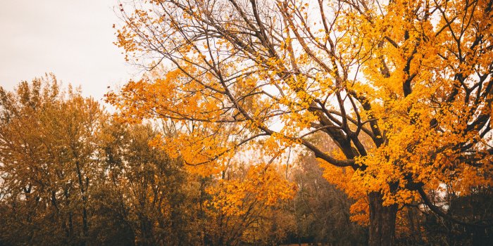 3840x2400 Autumn Scenery ❤ 4K HD Desktop Wallpaper for 4K Ultra HD TV • Wide