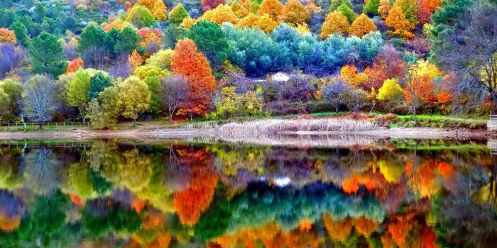 1920x1200 Autumn Scenery, HD Nature, 4k Wallpapers, Images, Backgrounds