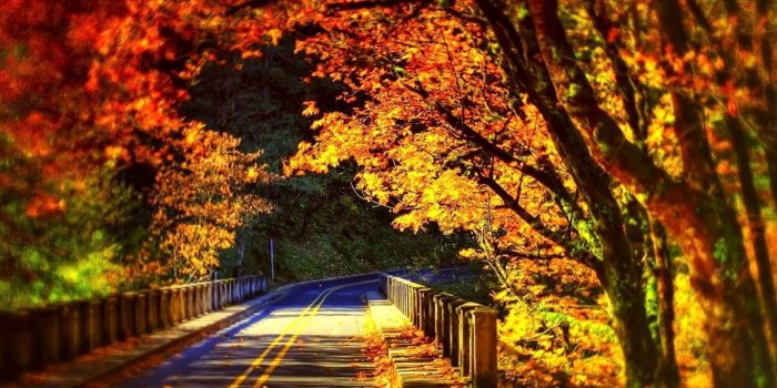 1366x768 Fall scenery wallpaper desktop Gallery