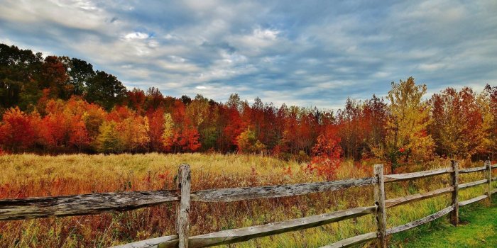 1920x1080 Other: Forests Fields Rural Nature Fall Scenery Autumn Countryside