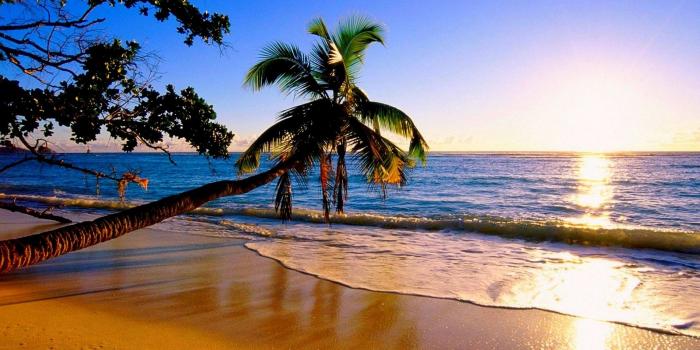 1920x1080 2963494 1920x1080 nature sunset water palm trees beach wallpaper and