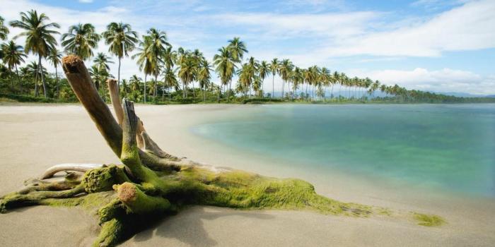 1920x1080 Beach Nature Wallpaper #6999740