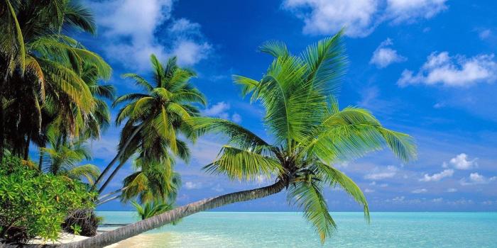 1600x1200 1627 Beach HD Wallpapers | Background Images